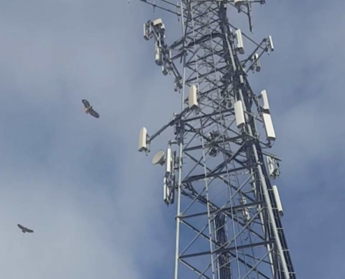 Alamon Wireless Services