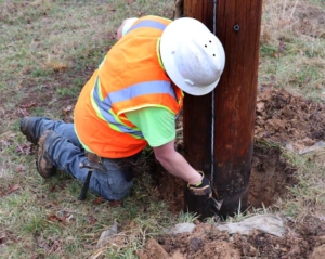 Alamon Wood Utility Pole Inspection
