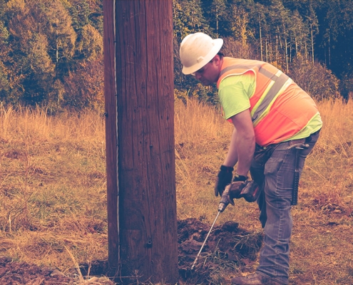 Alamon Utility Services Pole Inspection, Treatment and Reinforcement